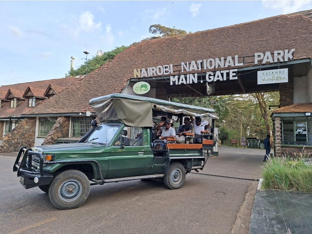Jimfire Safaris and transfers