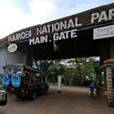 Jimfire Safaris and transfers