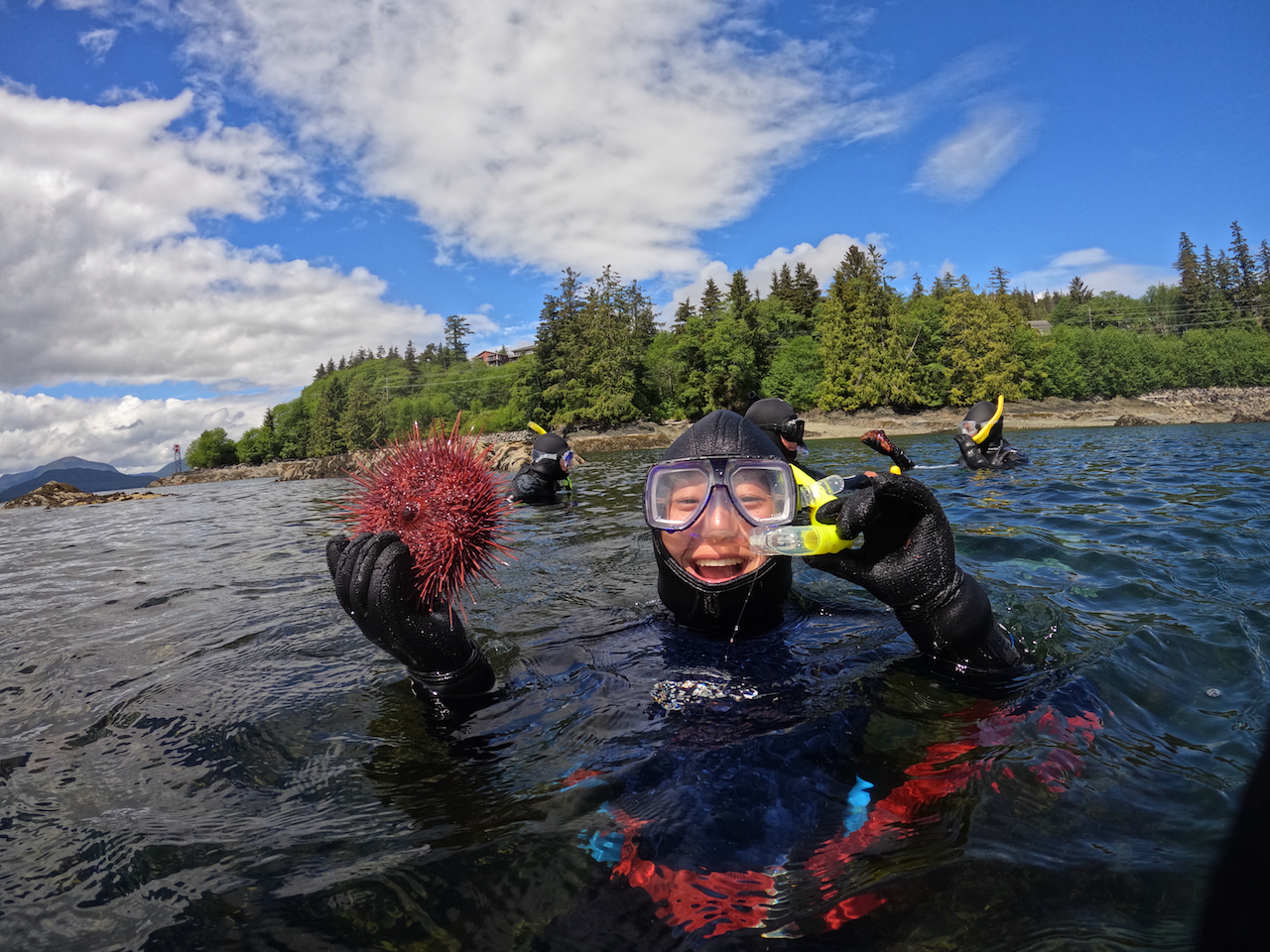 Snorkel Alaska