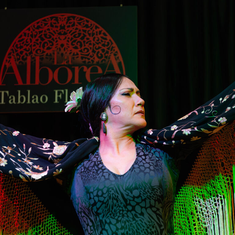 Tablao Flamenco La Alboreá