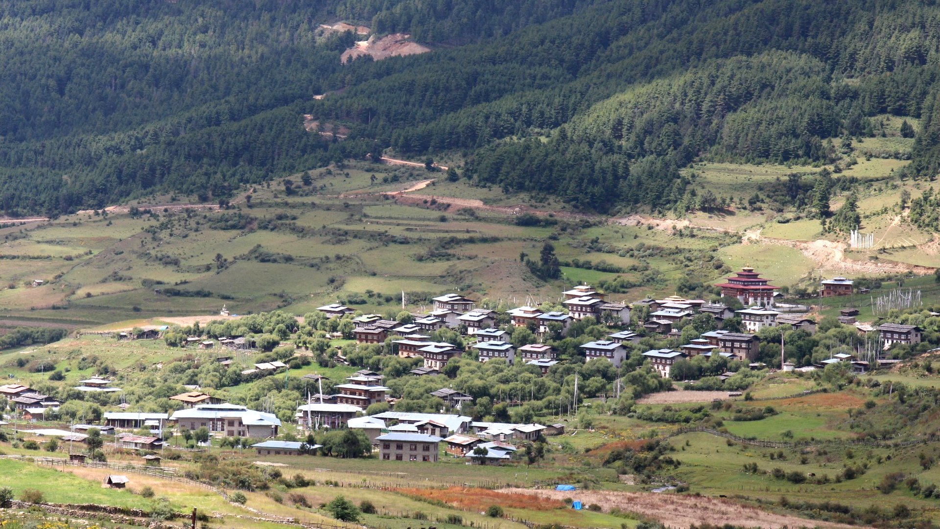 Tshewang Om