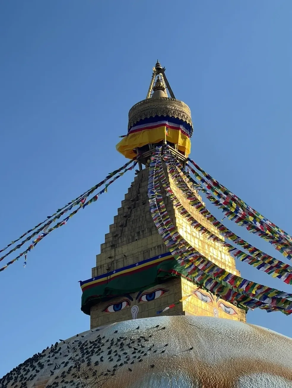 Rinpoche International Travels
