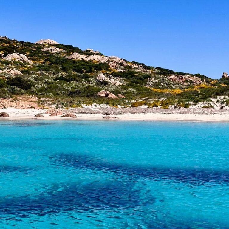 Controvento Charter Olbia