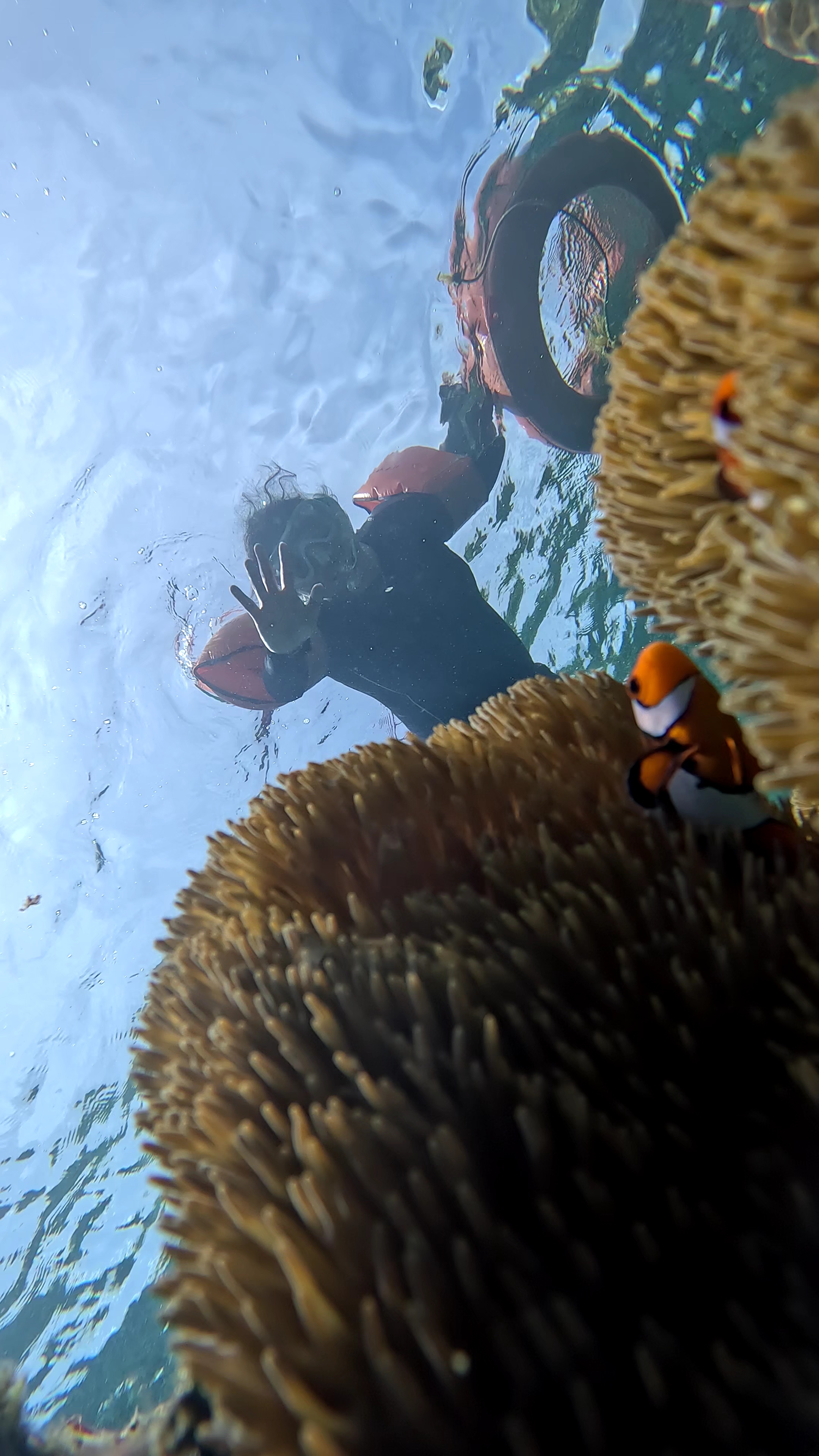 Port Barton DIY Tours