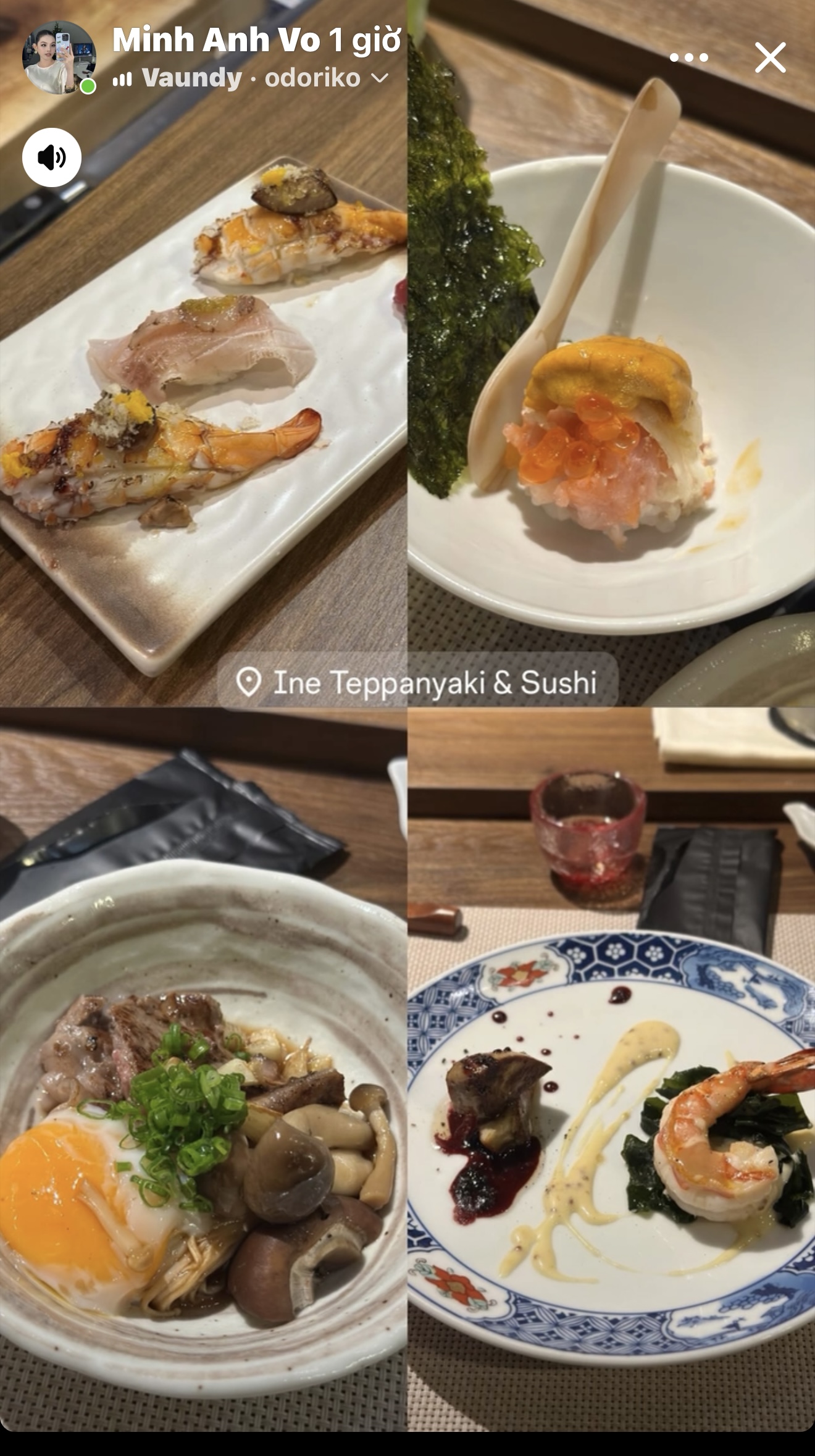 Ine Teppanyaki & Sushi