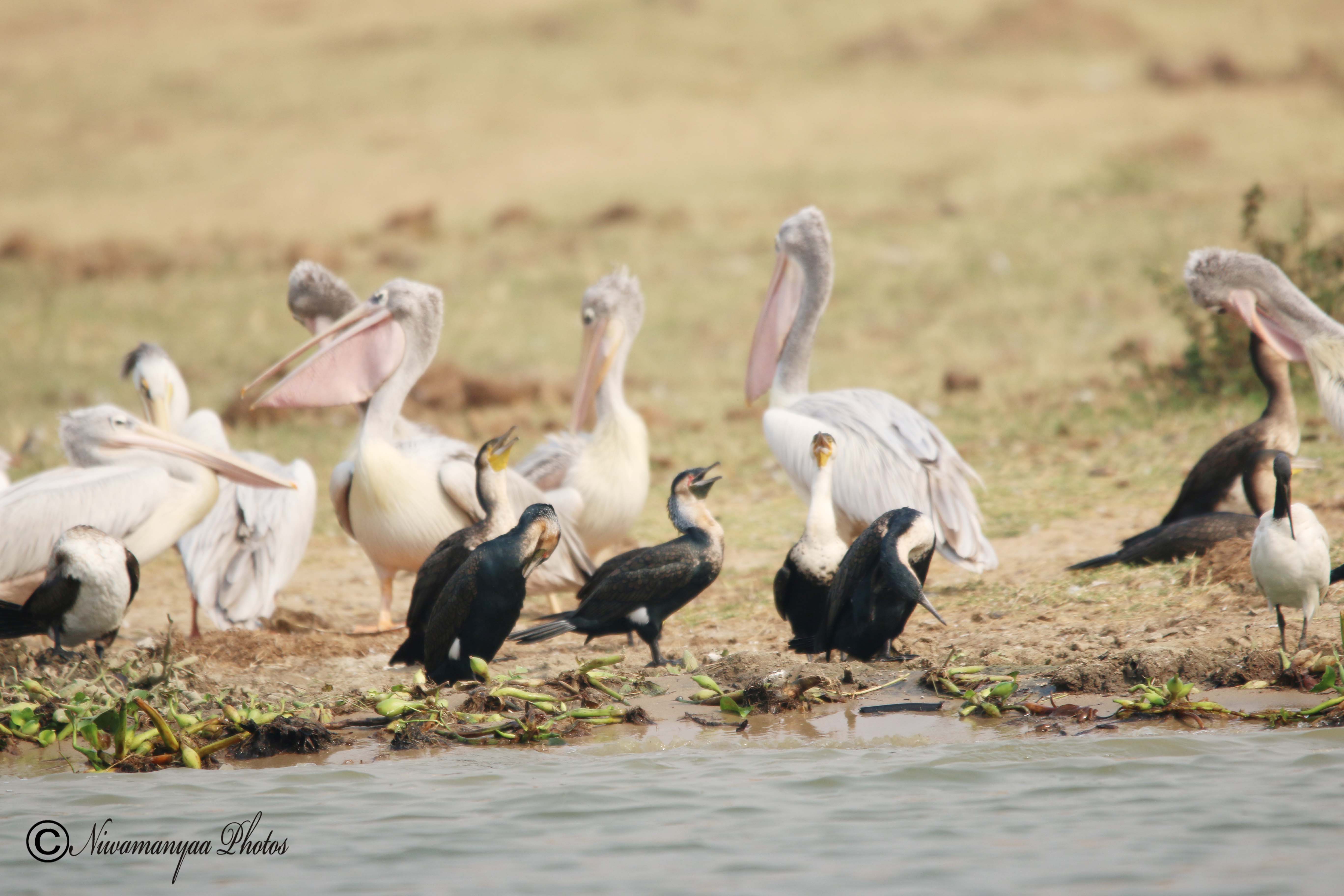 EPIC UGANDA VACATION