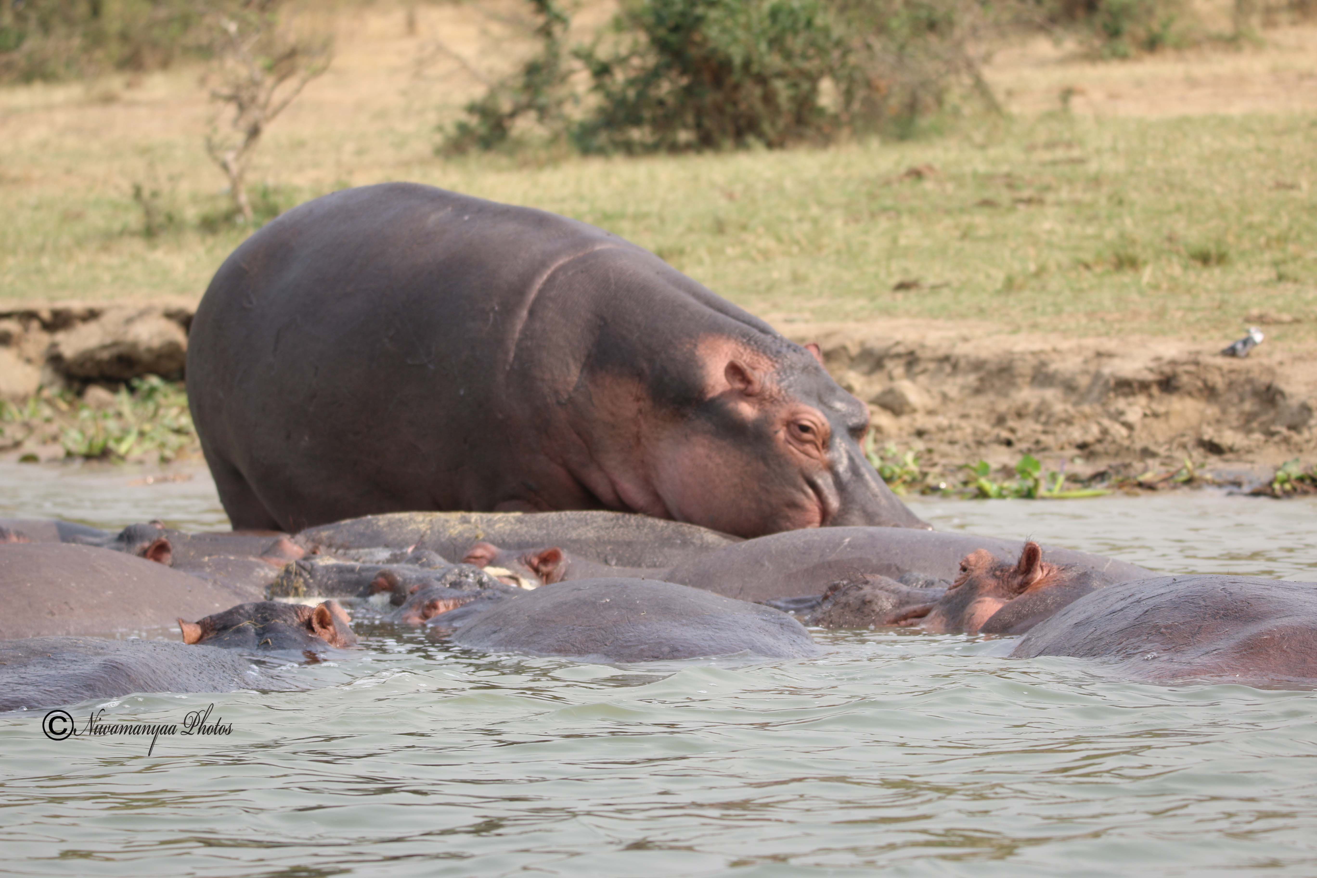 EPIC UGANDA VACATION