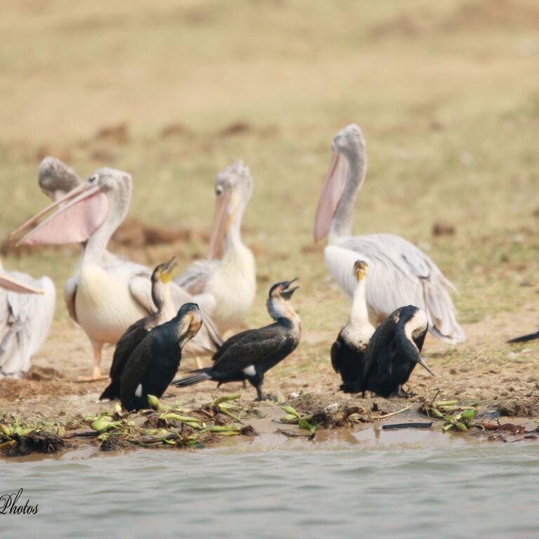 EPIC UGANDA VACATION