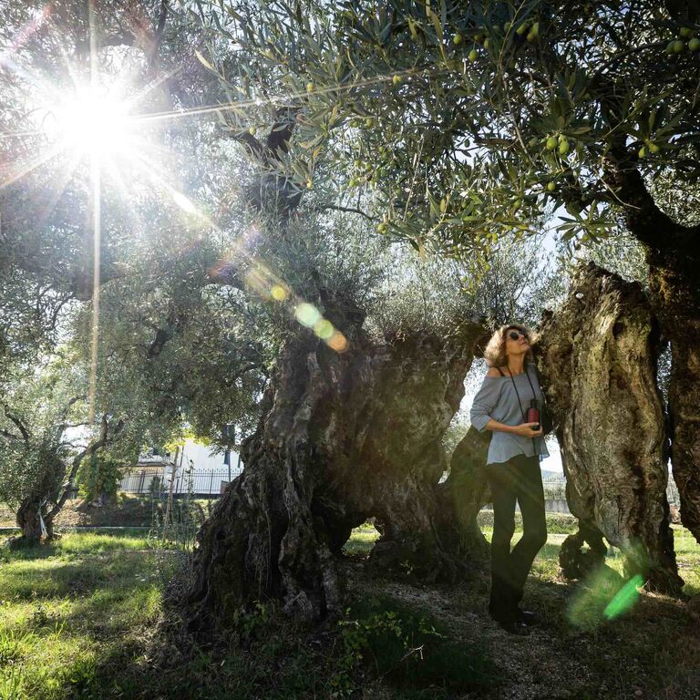 ORO DI GIANO