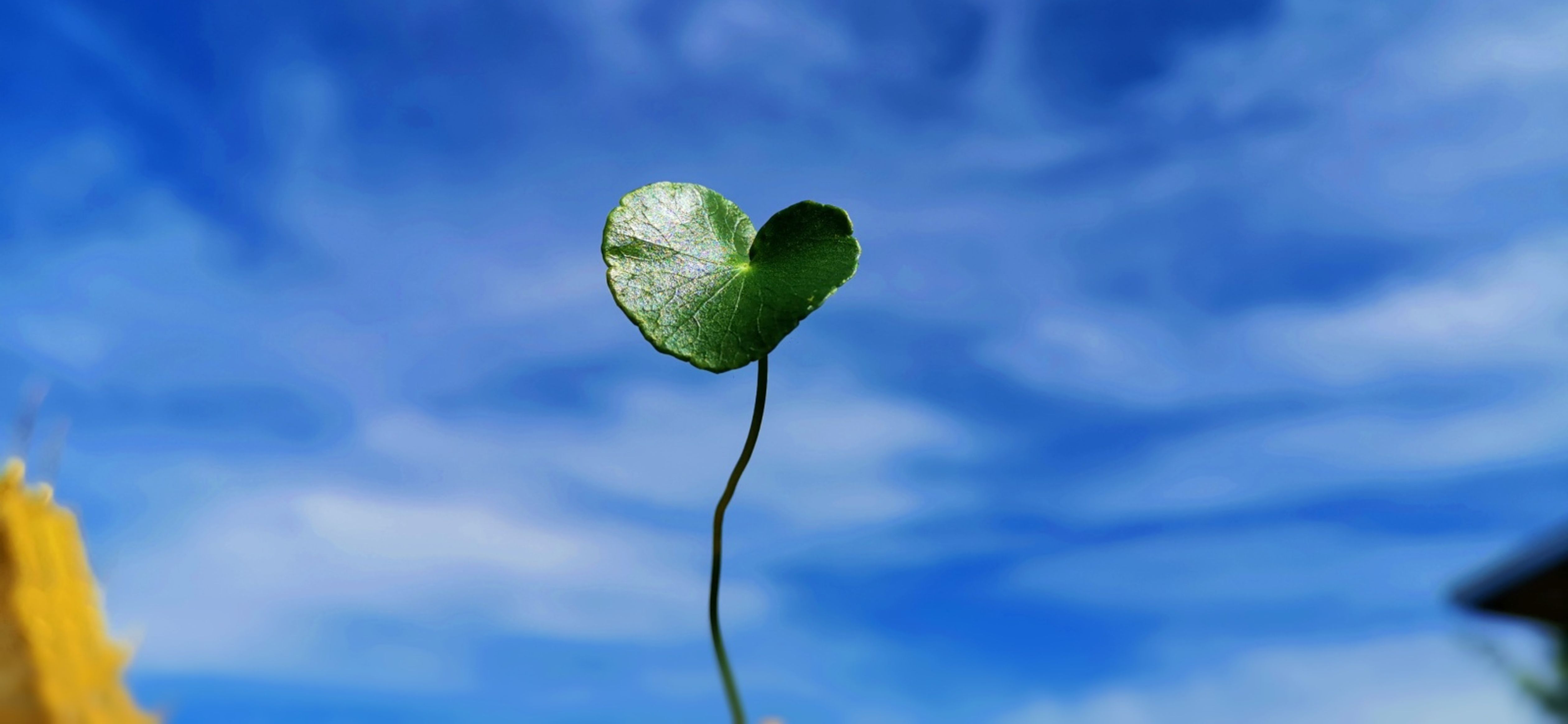 R You Go (Thailand) Part., Ltd