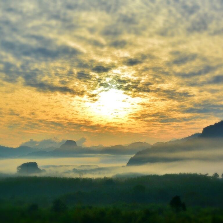R You Go (Thailand) Part., Ltd