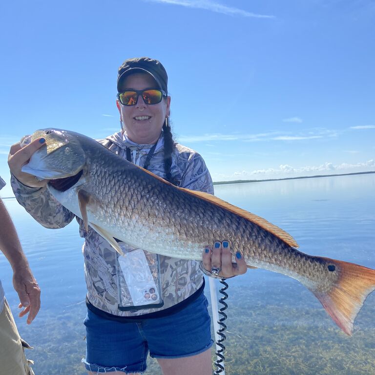 All Shores Outdoors LLC