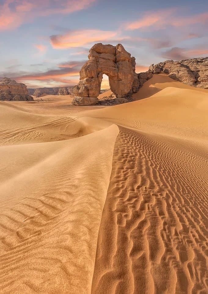 Ghardaia Desert Tour