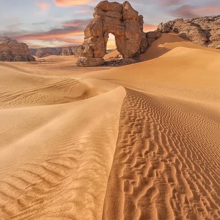 Ghardaia Desert Tour