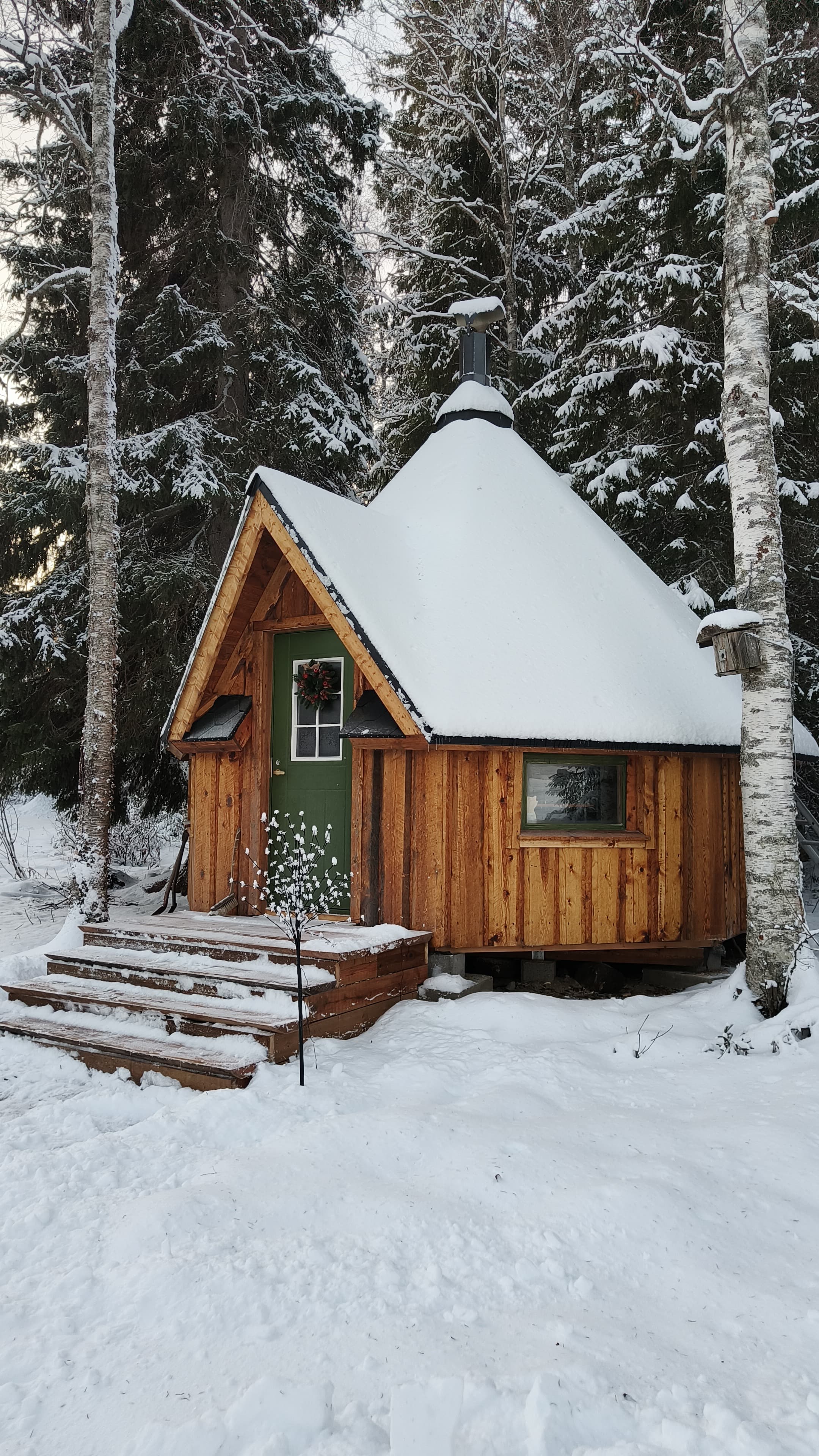 Arctic Adventures Lapland