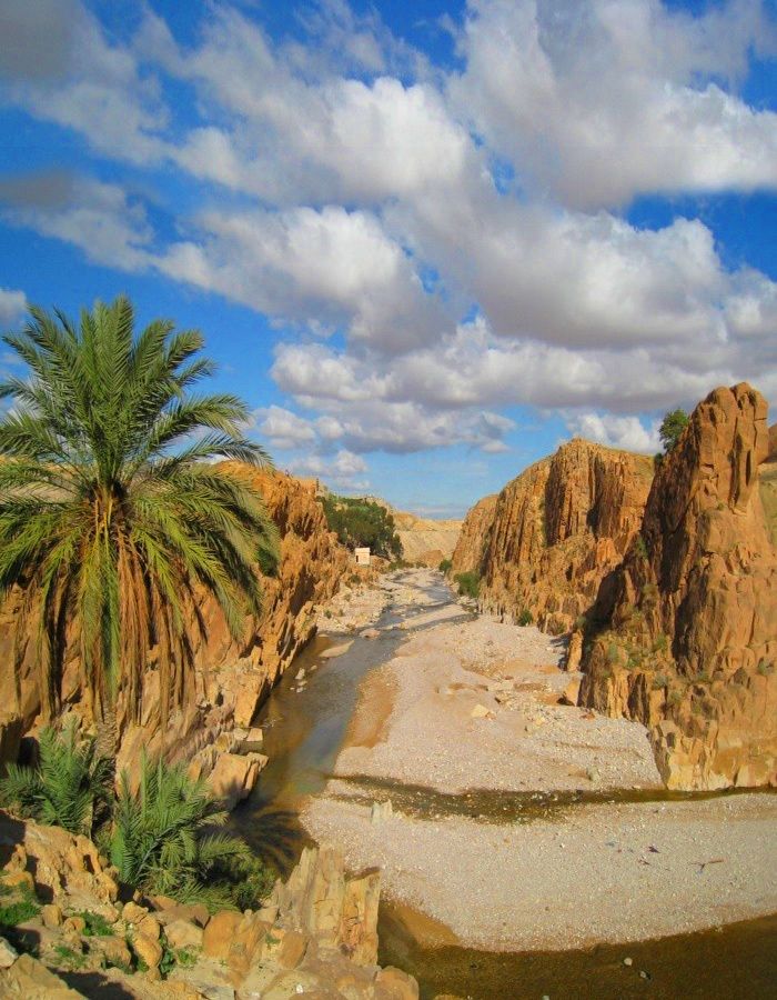 Algeria Express Cultural Tours