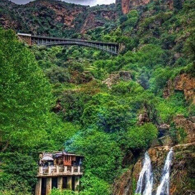 Algeria Grand Culture Tour 5D
