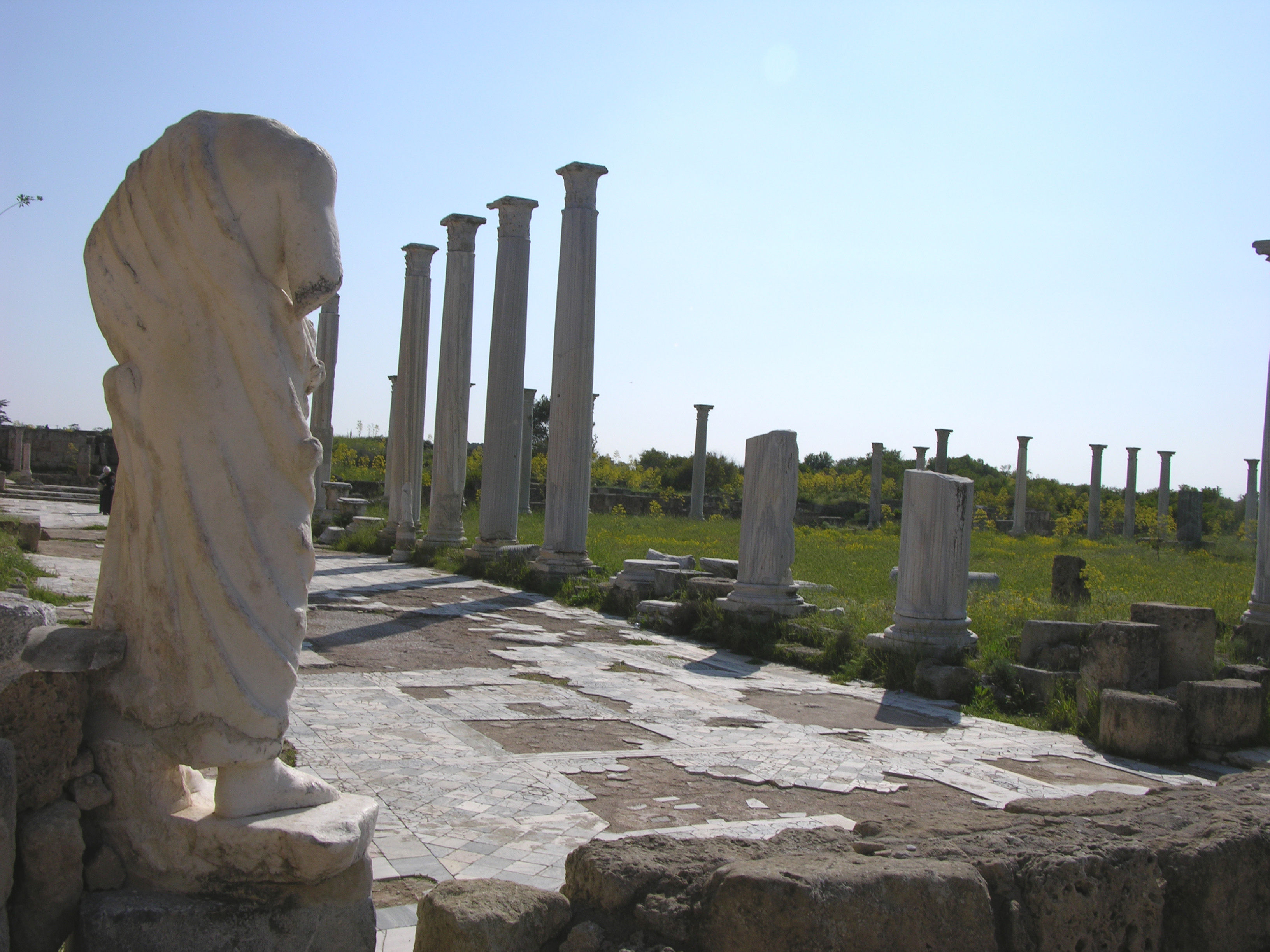 Aphrodites Tours