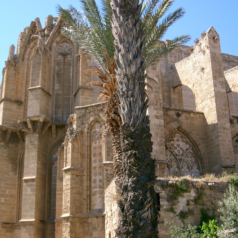 Aphrodites Tours