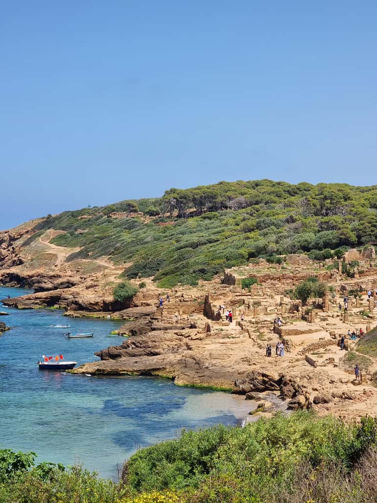 Tipaza & Cherchell Day Tour
