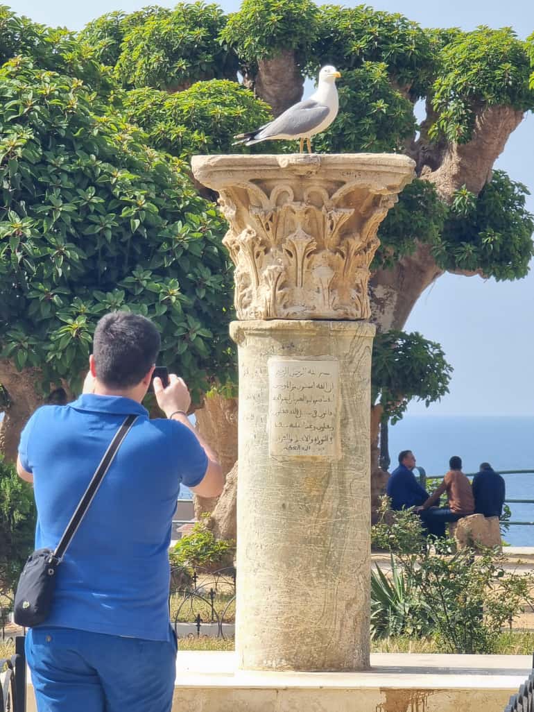 Tipaza & Cherchell Day Tour
