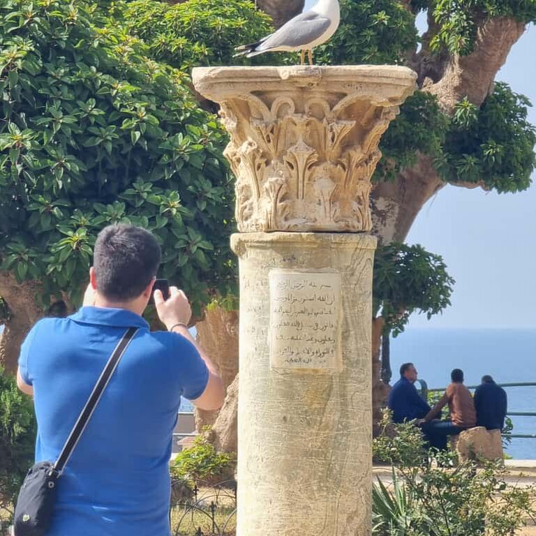 Tipaza & Cherchell Day Tour