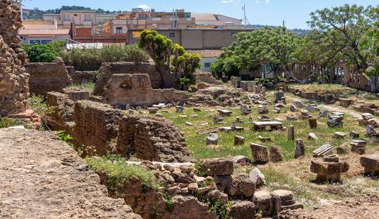 Algiers Tipasa Ghardaia Tour