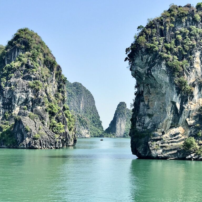 Vegan Travel Asia