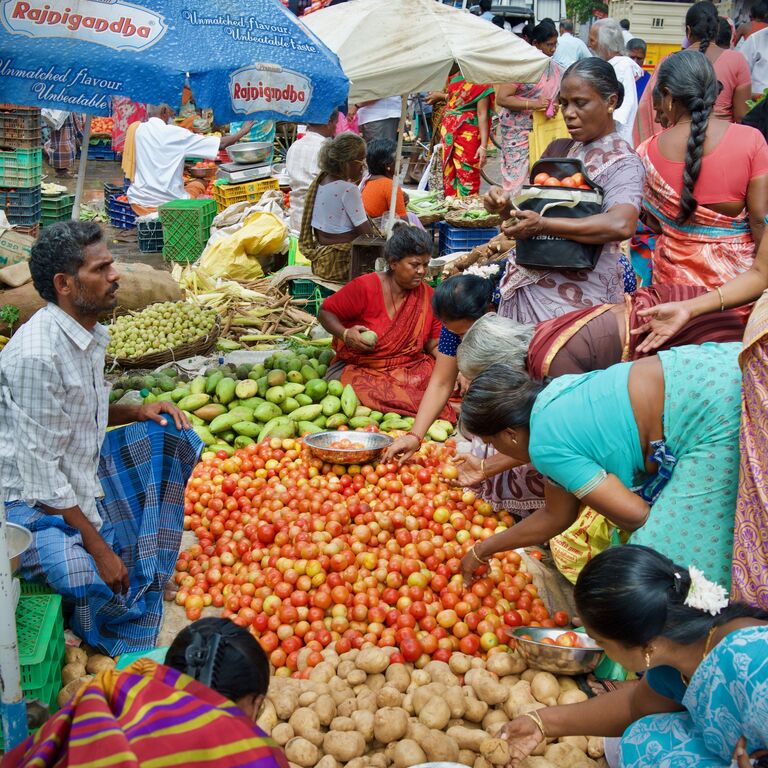 Vegan Travel Asia