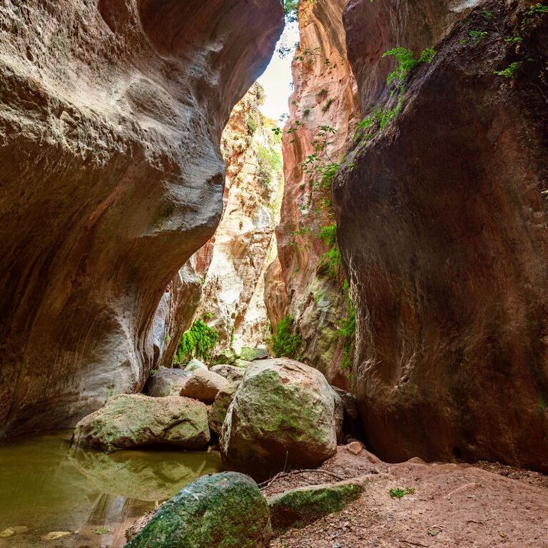 Explore Cyprus