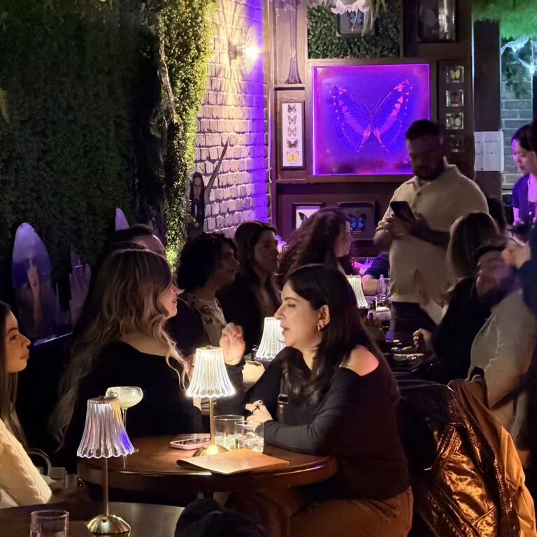 Wonderland Bar
