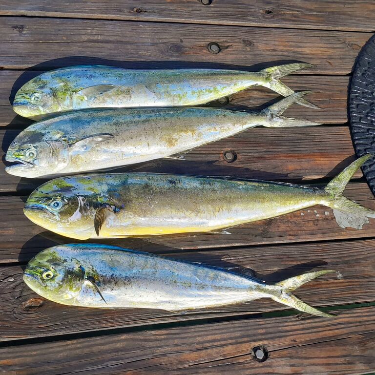 Carla Fishing Charters Aruba