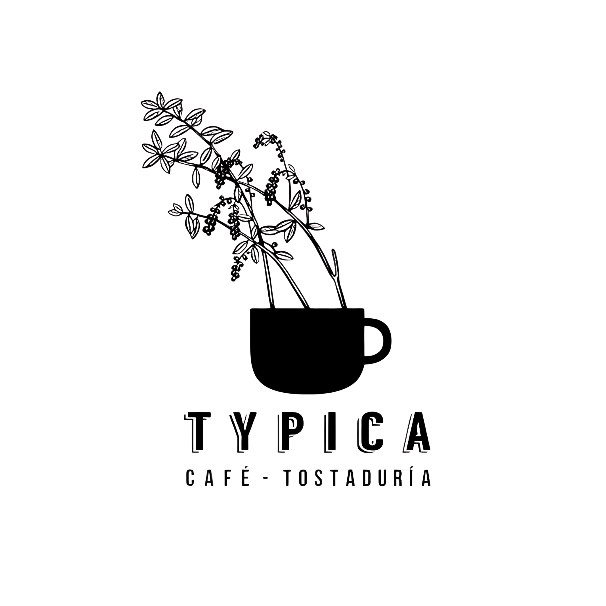 JOAQUIN ERNESTO THAINE RUIZ