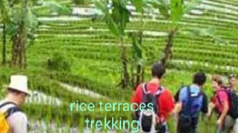 Dewa Permana