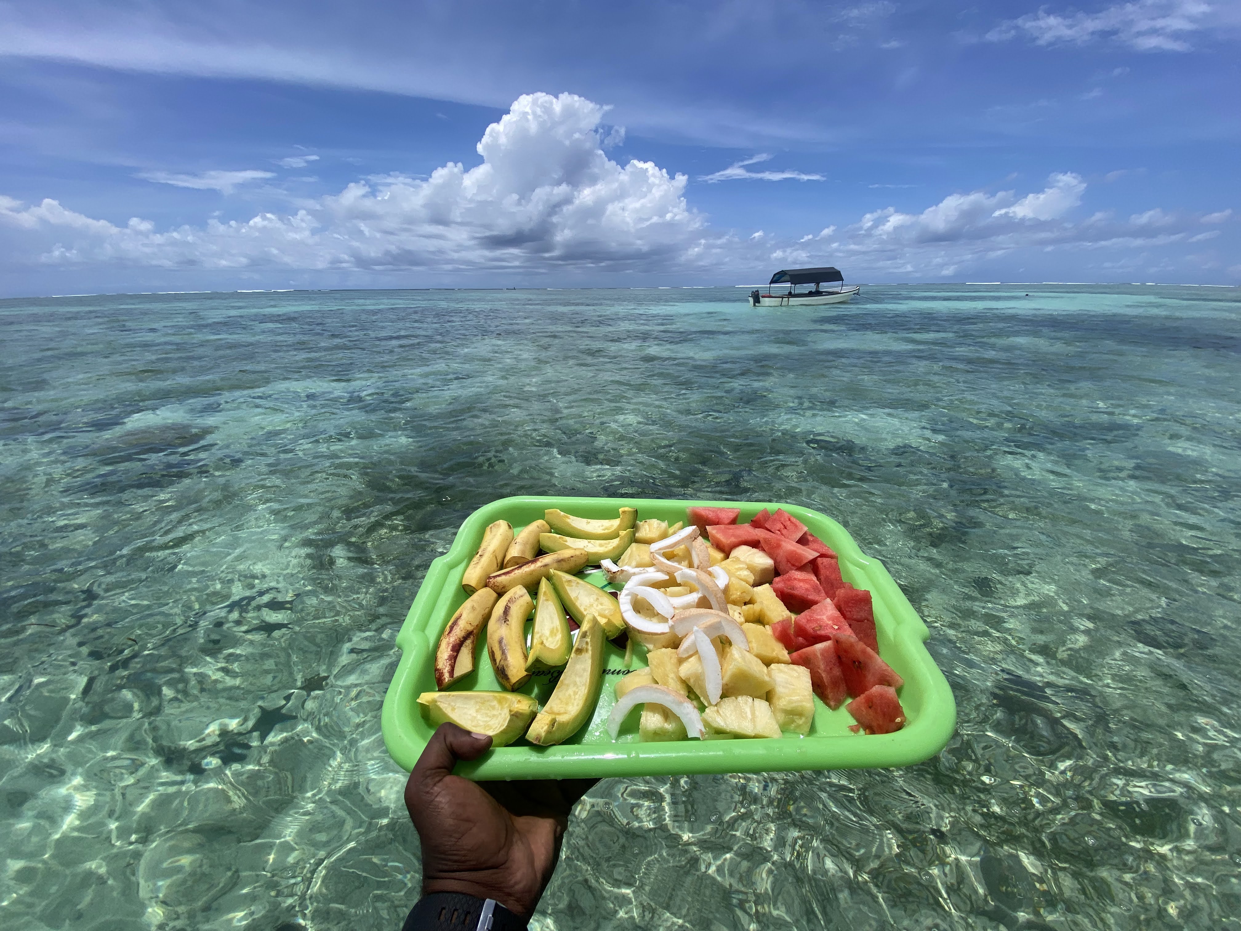 Kipepeo Tours And Safaris
