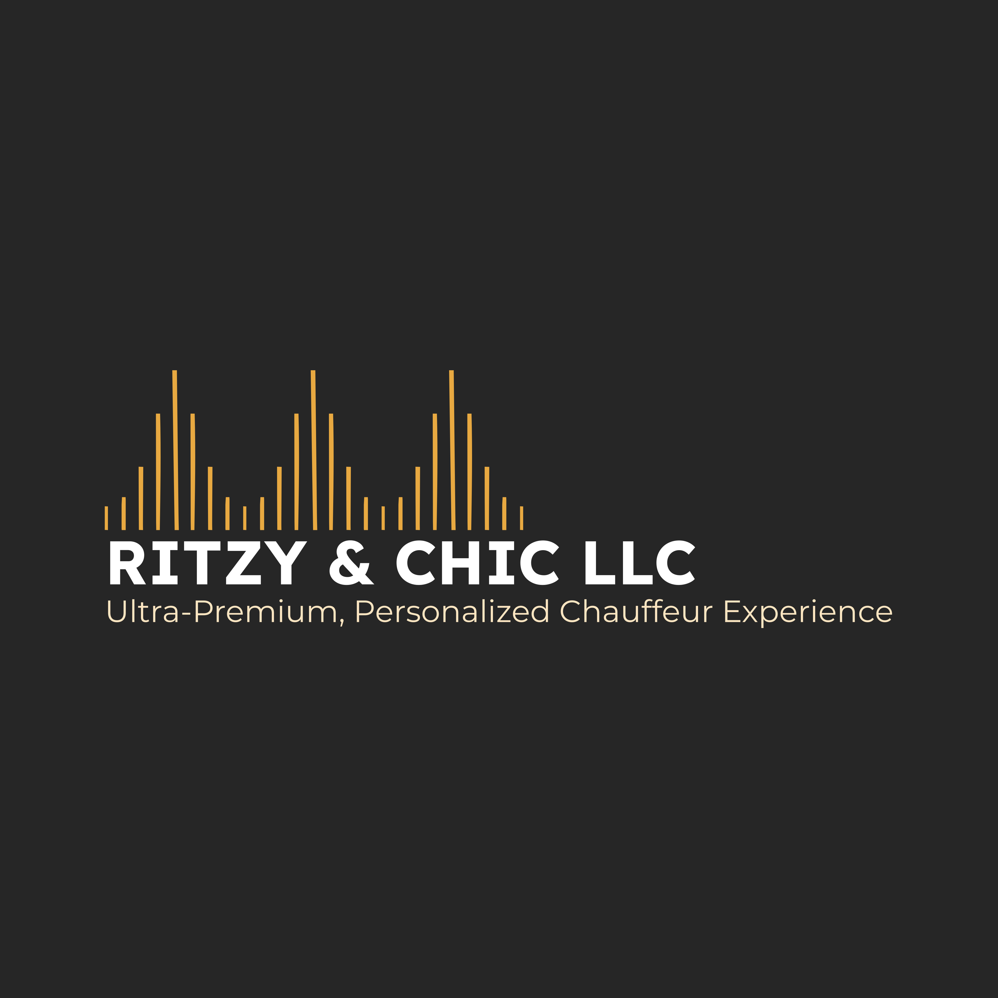 RITZY & CHIC LLC