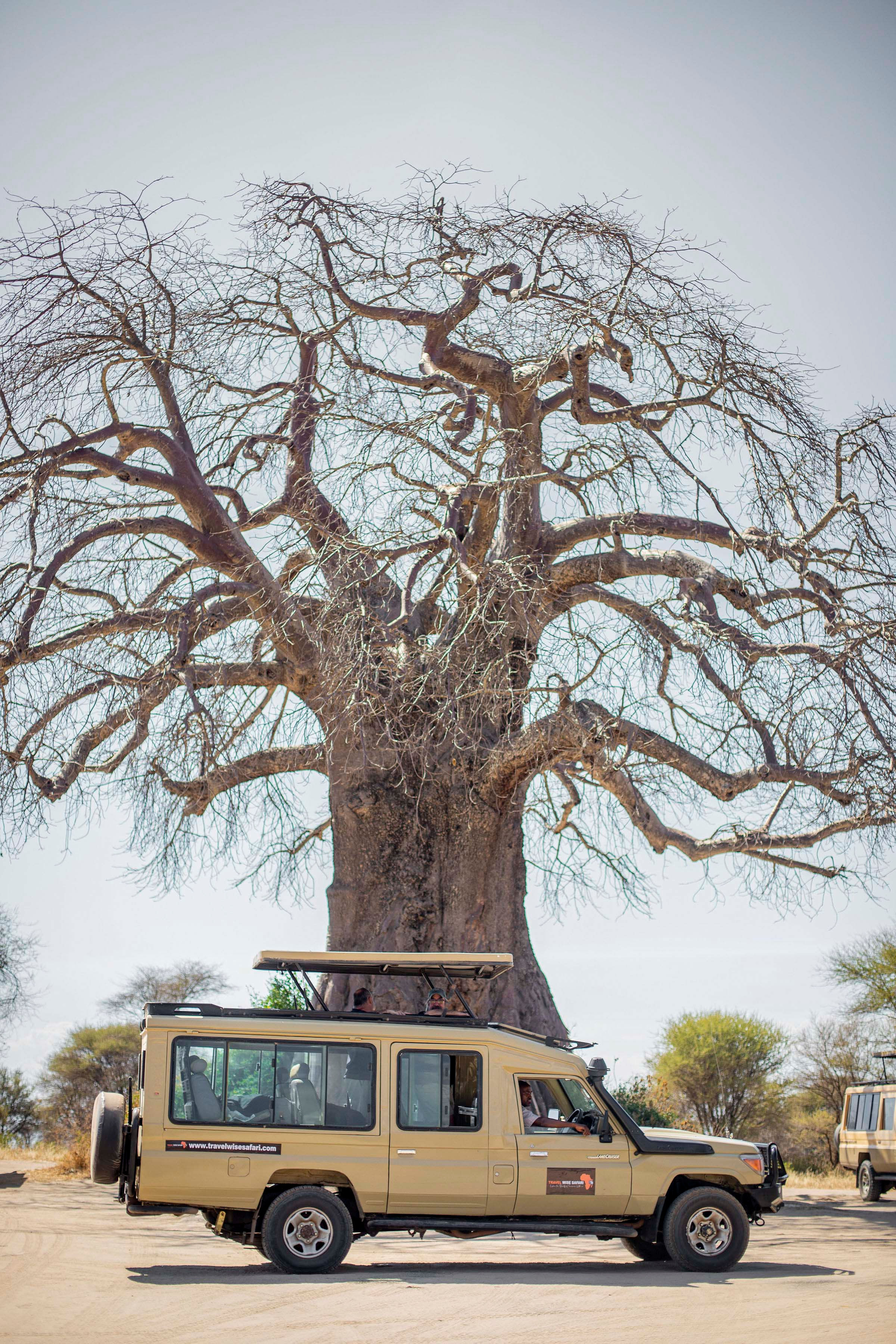 Travel Wise Safari Tanzania