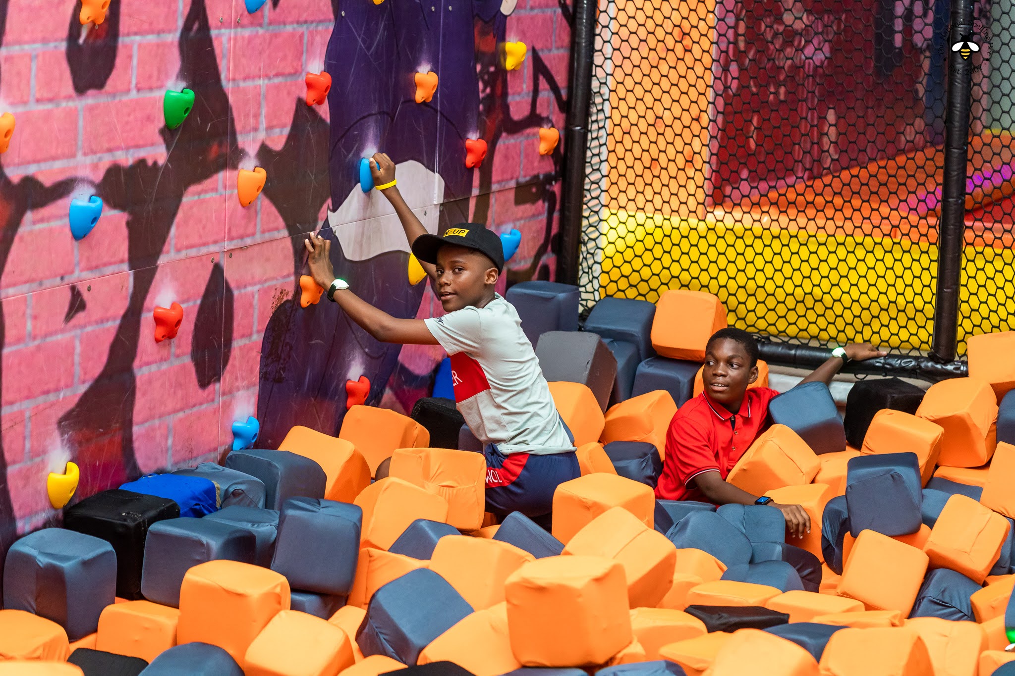 Bliss Family Entertainment