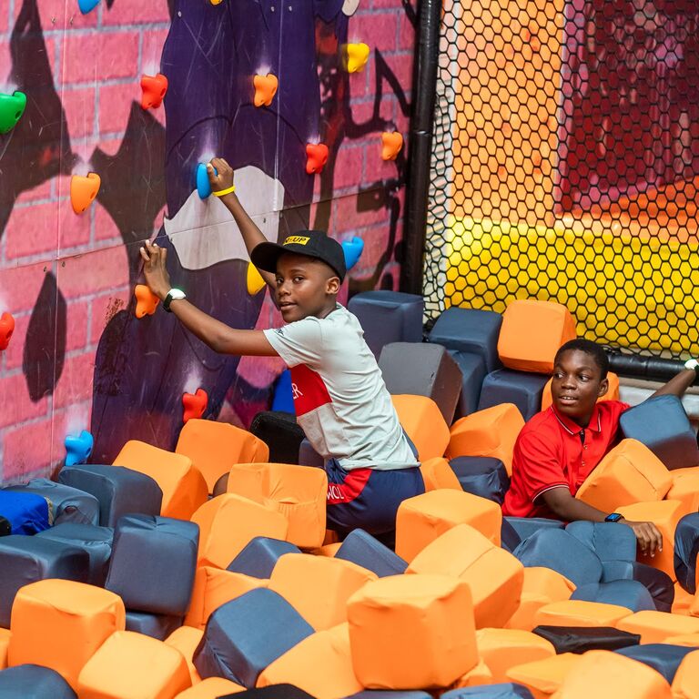 Bliss Family Entertainment