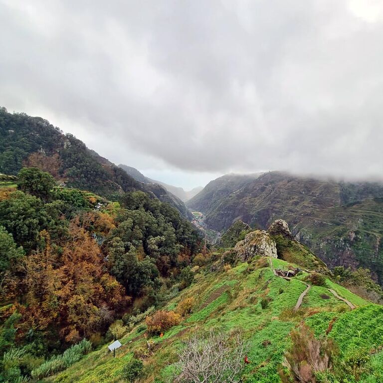 Always Madeira 4x4