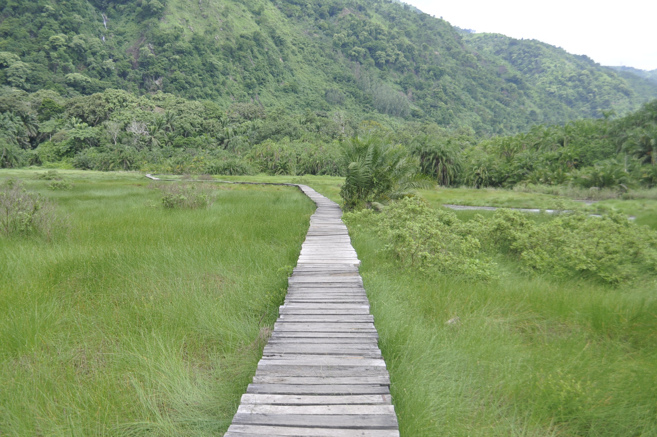 PN TOURS AND  TRAVEL