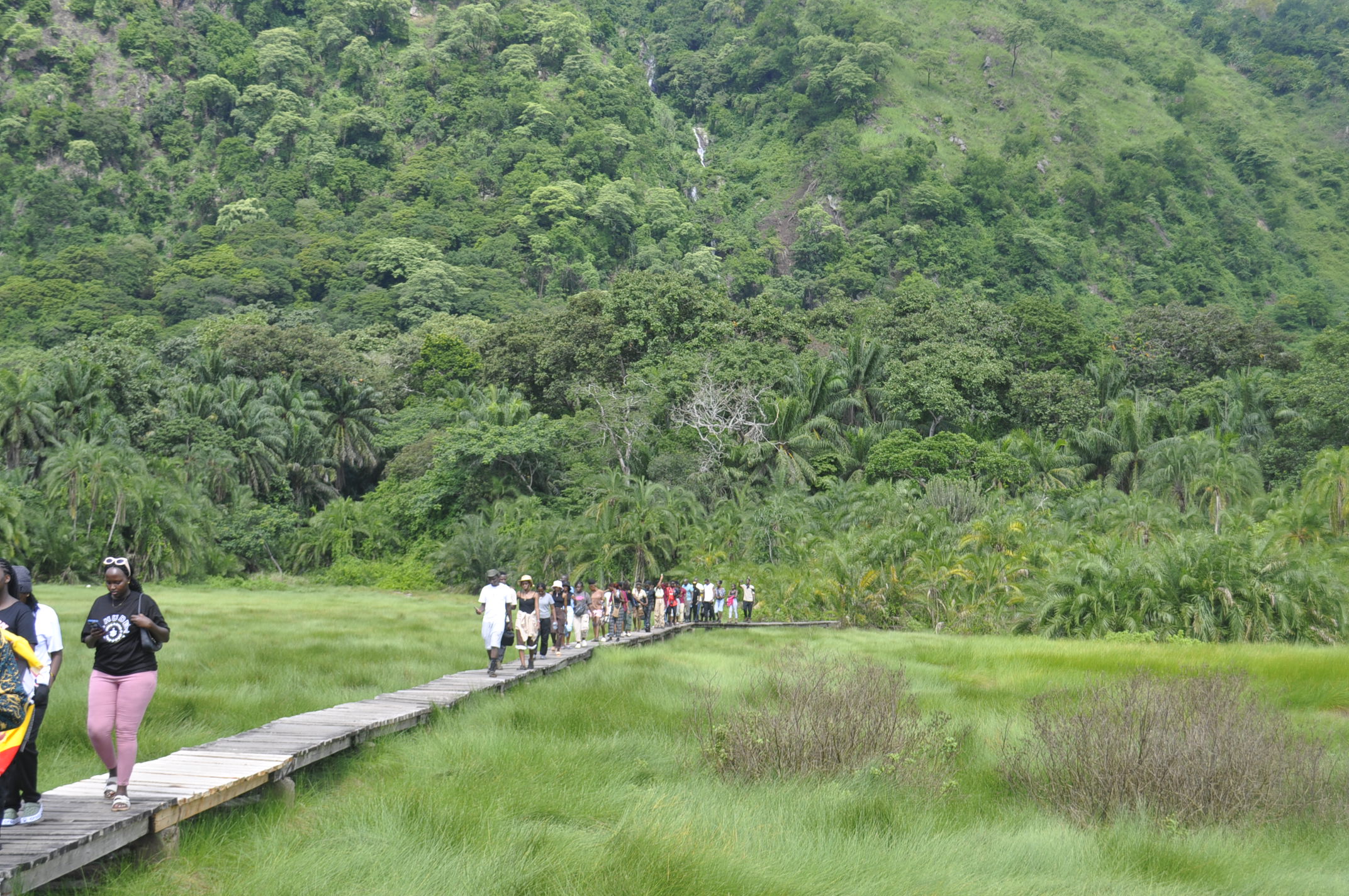 PN TOURS AND  TRAVEL