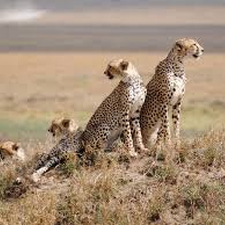 PN TOURS AND  TRAVEL