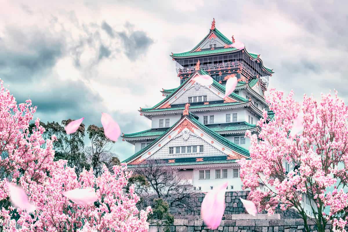 Sakura tours japan