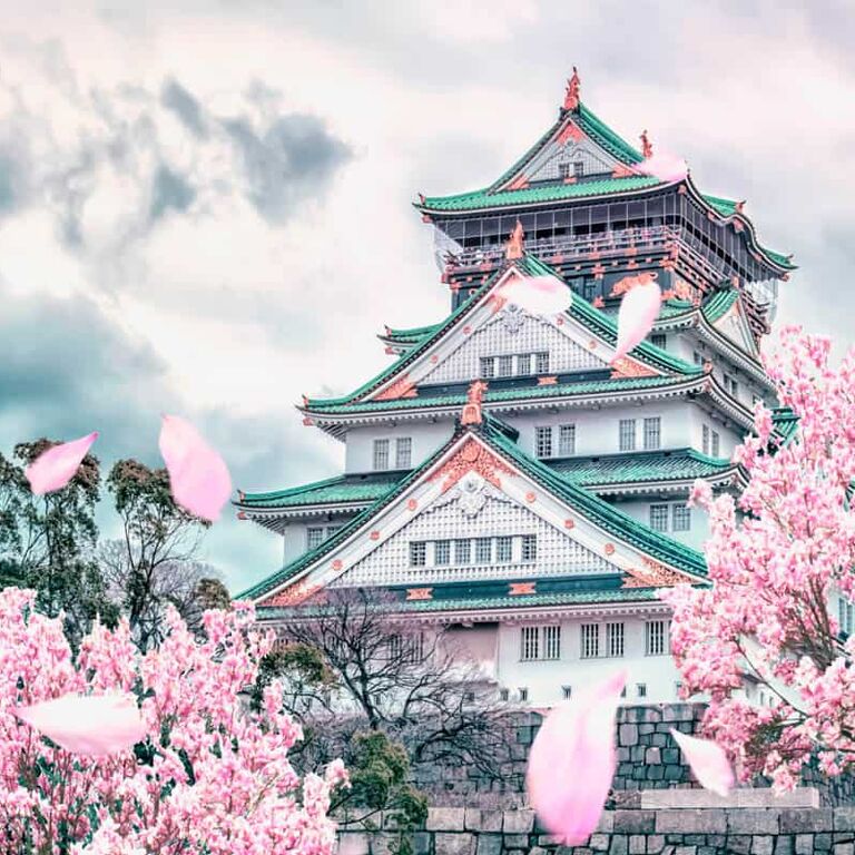 Sakura tours japan