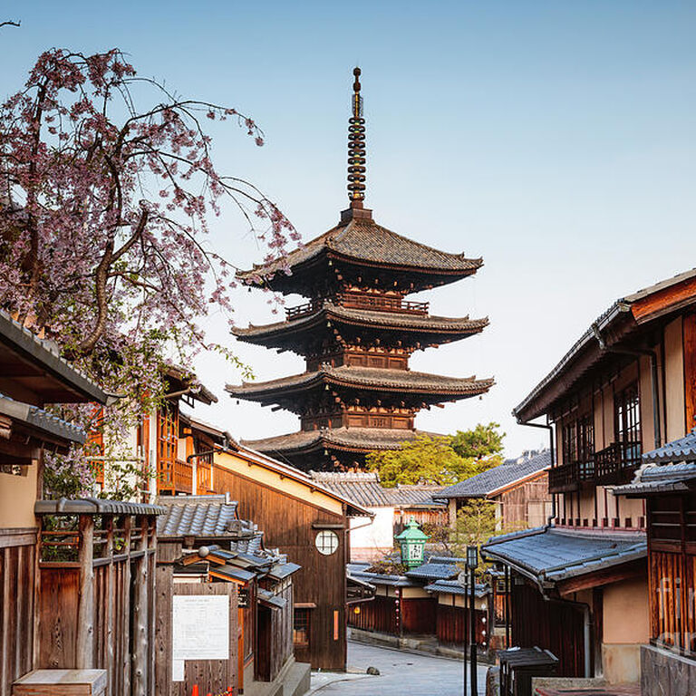 Sakura tours japan