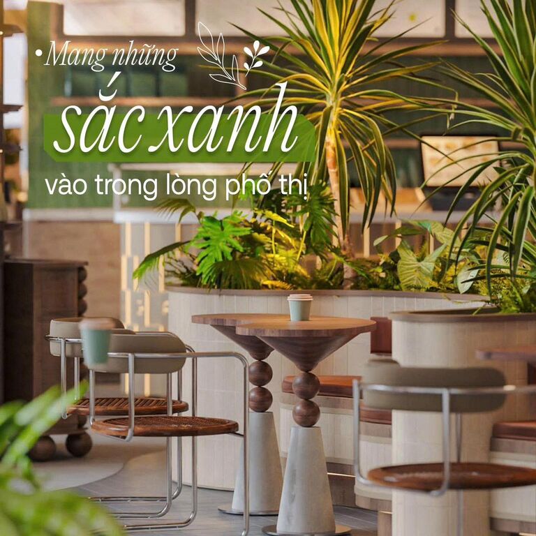 Saga Cafe & Eatery Capital