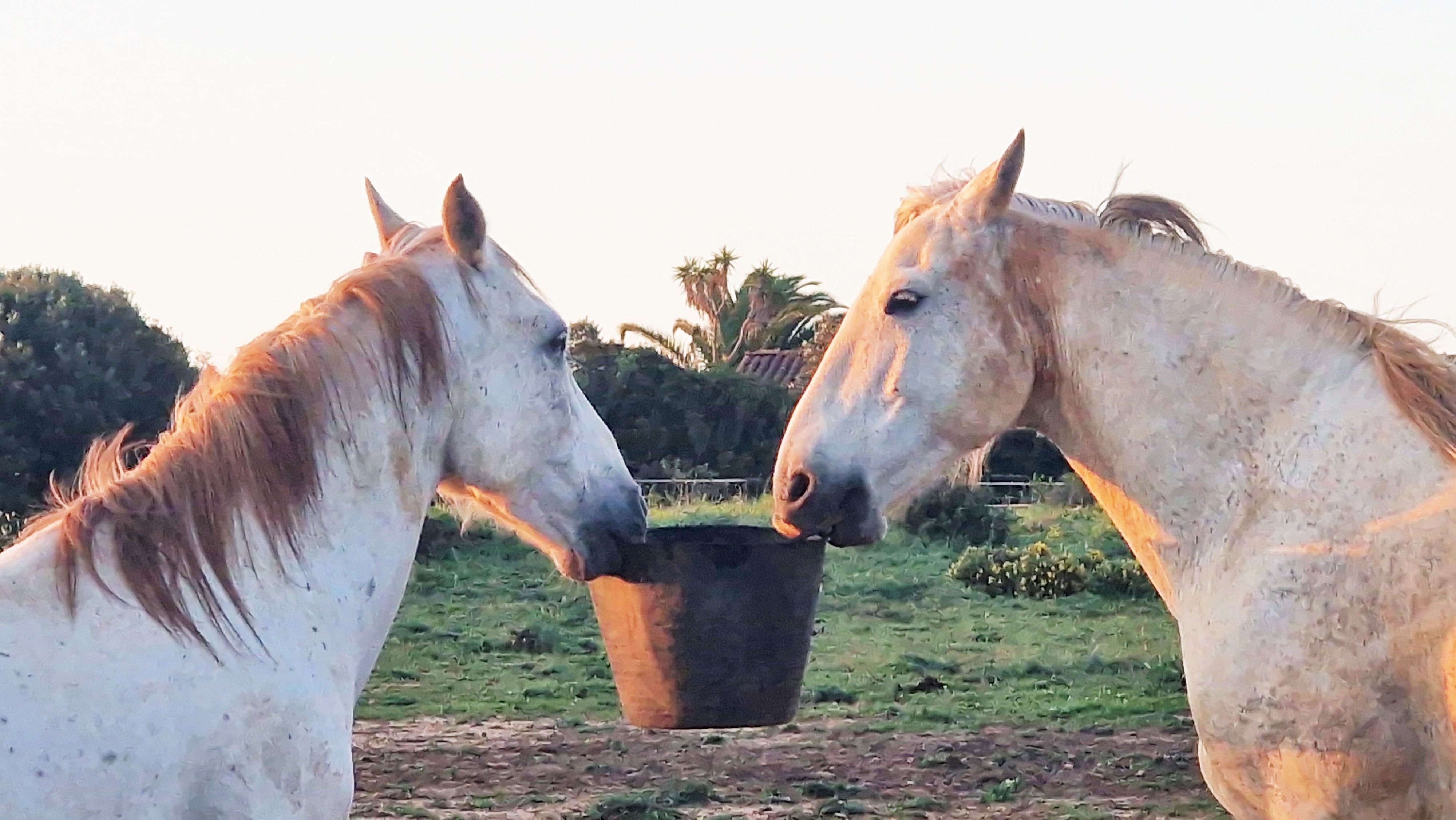 State of Being sanctuary