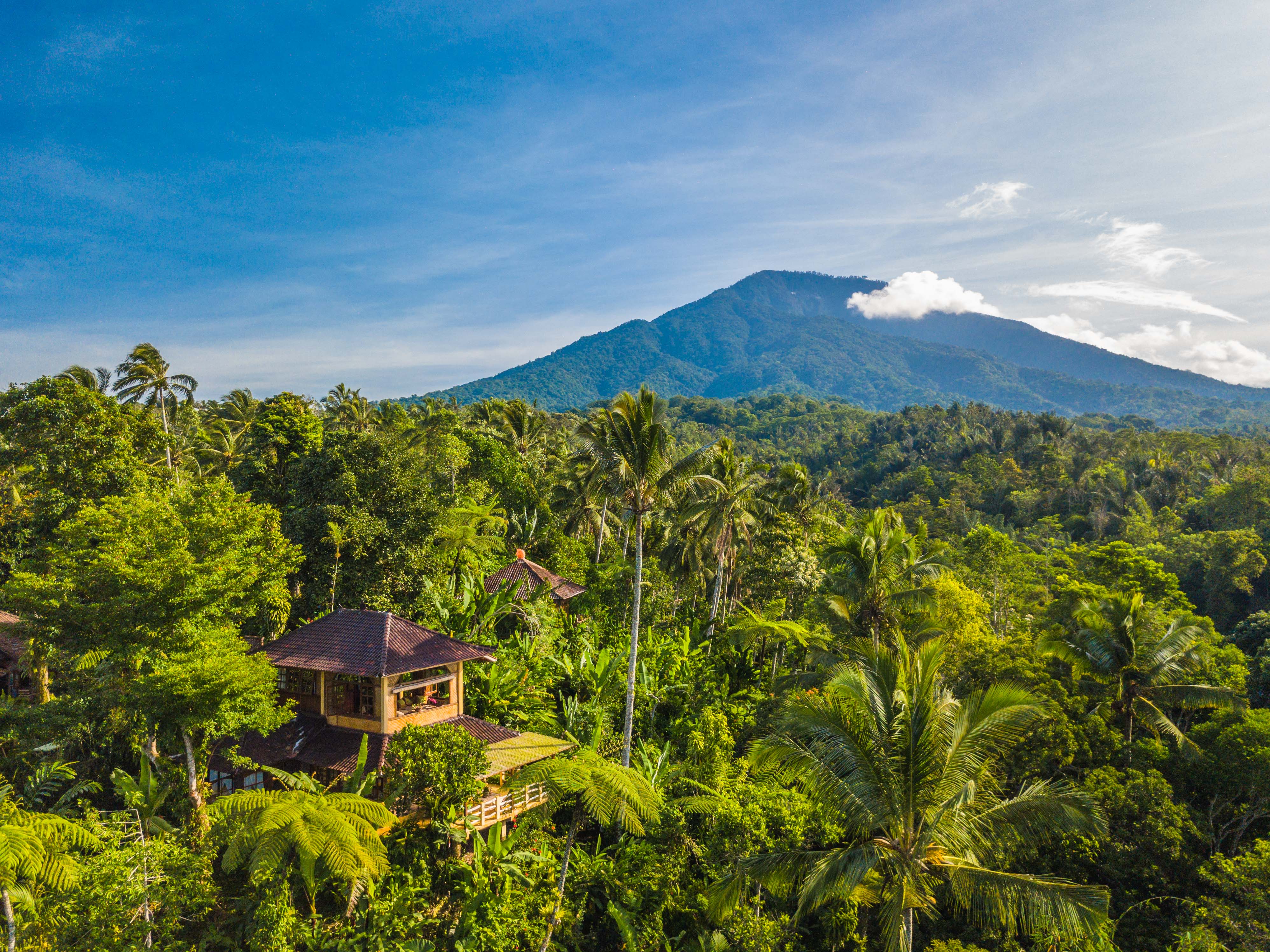 Sarinbuana Eco Lodge