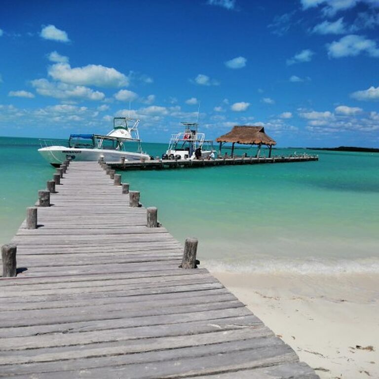 Discover Maya
